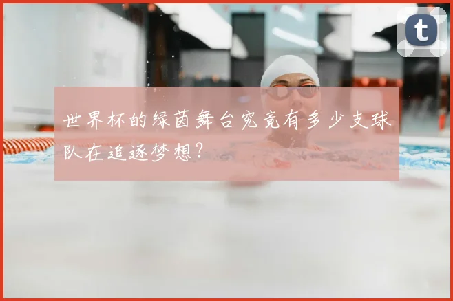 世界杯的绿茵舞台究竟有多少支球队在追逐梦想?