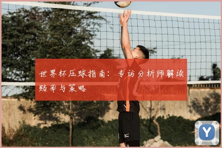 世界杯压球指南：专访分析师解读赔率与策略