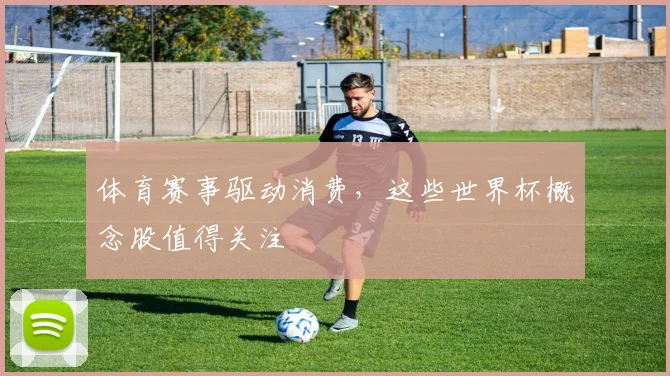 体育赛事驱动消费，这些世界杯概念股值得关注