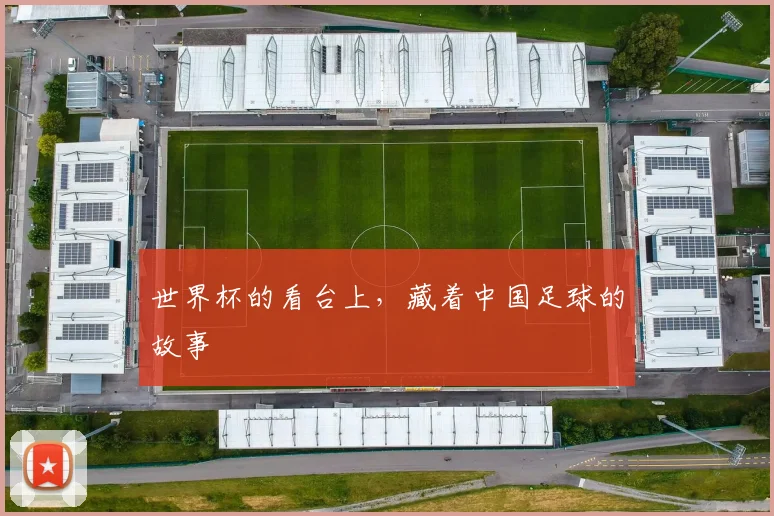 世界杯的看台上，藏着中国足球的故事