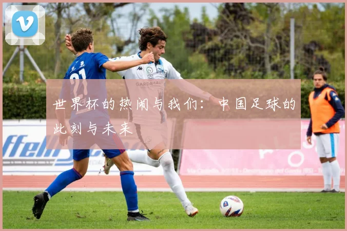 世界杯的热闹与我们：中国足球的此刻与未来