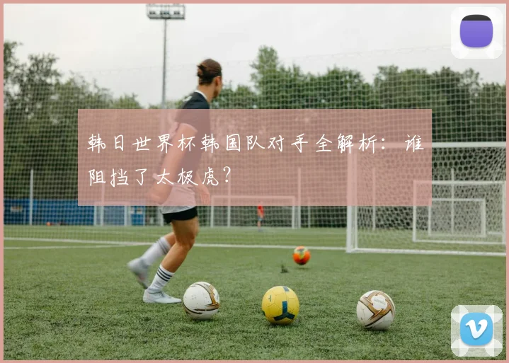 韩日世界杯韩国队对手全解析：谁阻挡了太极虎？