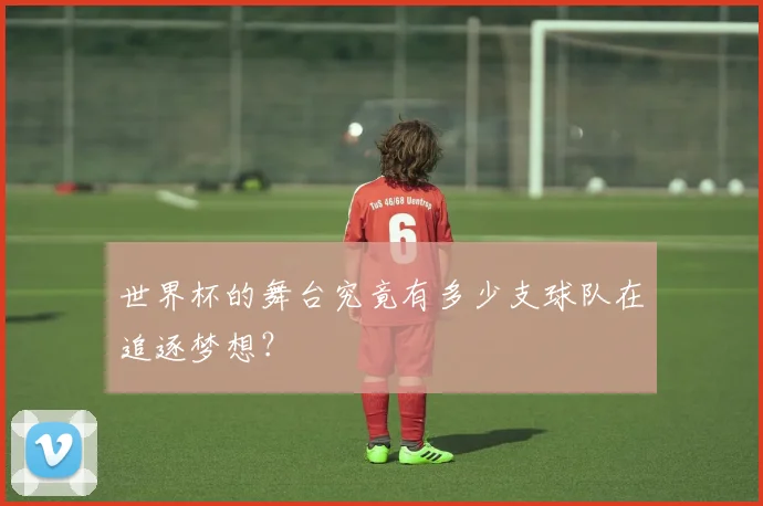 世界杯的舞台究竟有多少支球队在追逐梦想?