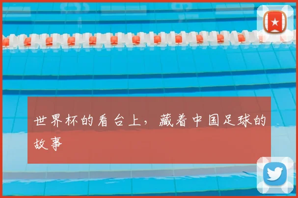 世界杯的看台上,藏着中国足球的故事
