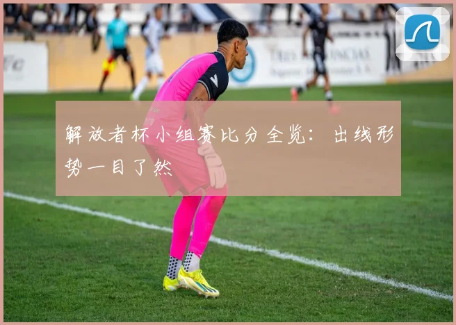 解放者杯小组赛比分全览：出线形势一目了然