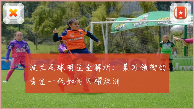 波兰足球明星全解析：莱万领衔的黄金一代如何闪耀欧洲